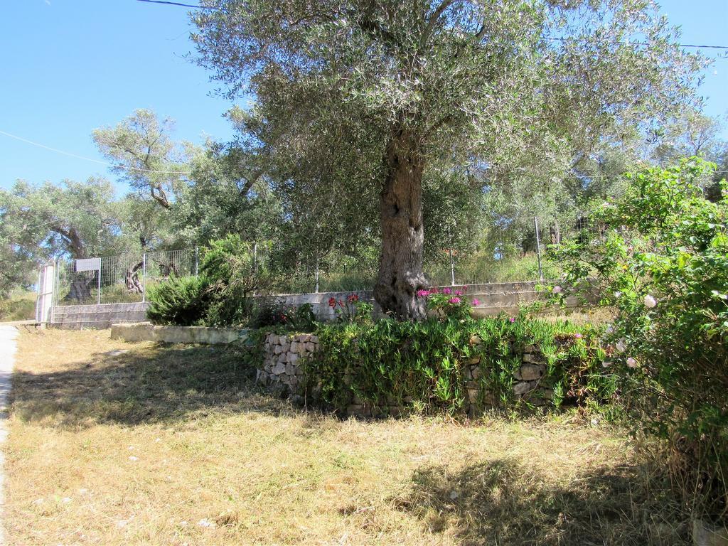 Villa Clementine Gaios Buitenkant foto