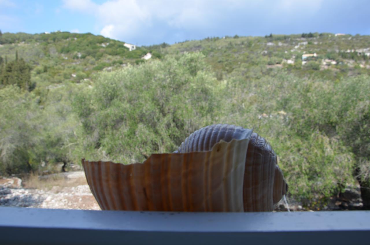 Villa Clementine Gaios Buitenkant foto